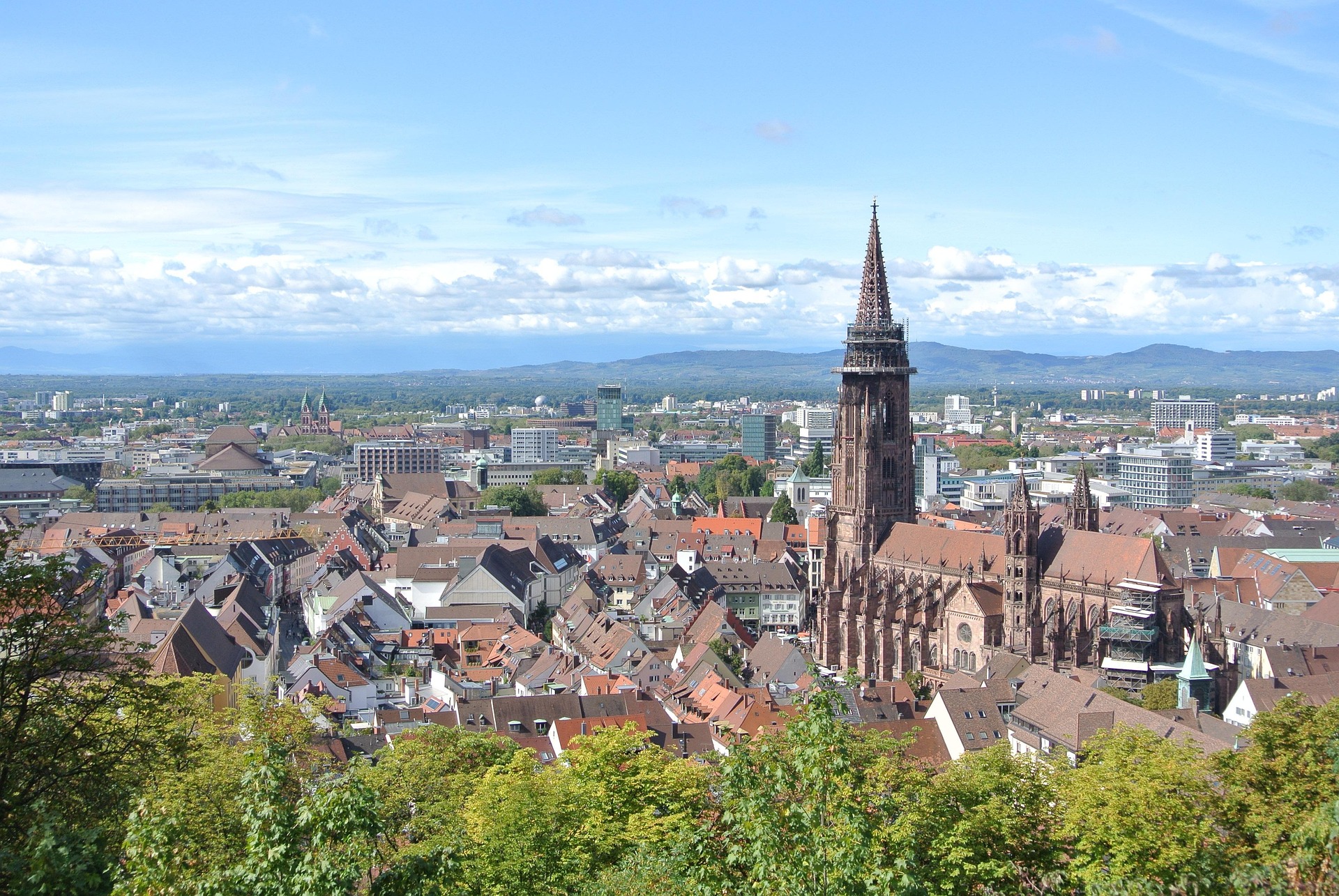 Blick über Freiburg mit dem Münster